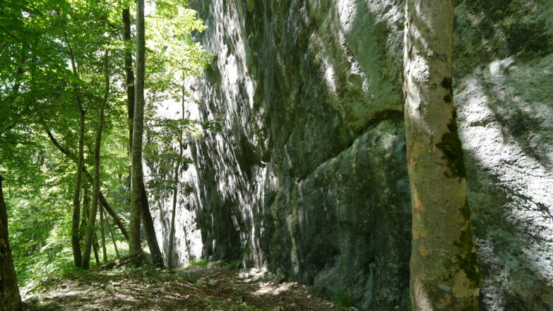 Der Kletterfels &quot;Neues Tiefenbach&quot;