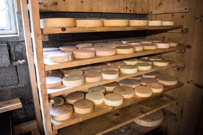 Lagernder Weichkäse im Käsekeller