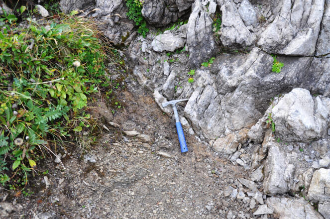 Deckengrenze (am Hammer): rechts oben Hauptdolomit der Lechtal-Decke, links unten zerscherte Allgäu-Formation der Allgäu-Decke