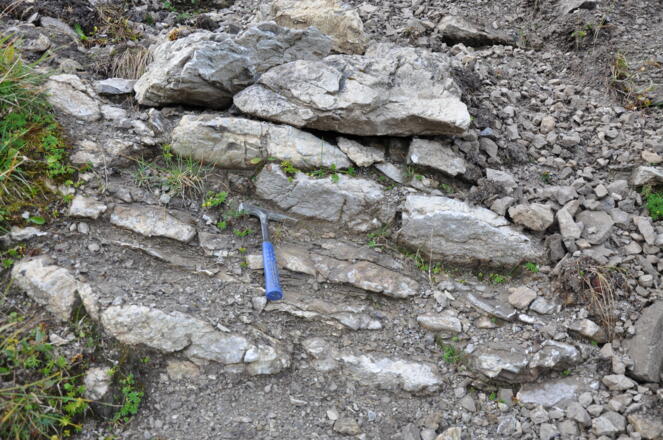 Wechselfolge von Kalkstein und Tonmergelstein: Allgäu-Formation