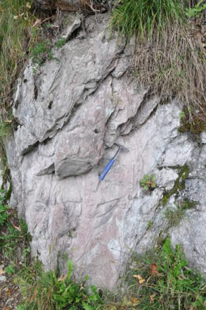 Leimern-Schichten des Ultrahelvetikum