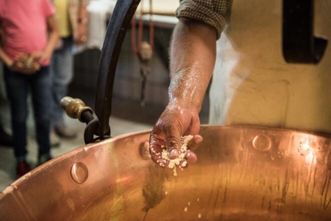 Käsebruch bei der Herstellung vom Käse