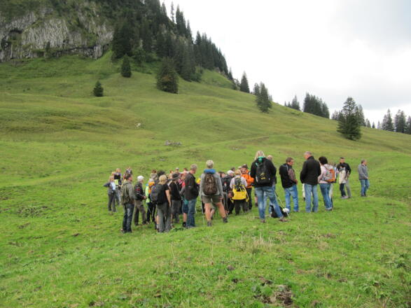 Wanderführer Edi mit der Gruppe bei der Viehscheid Infotour in Obermaiselstein