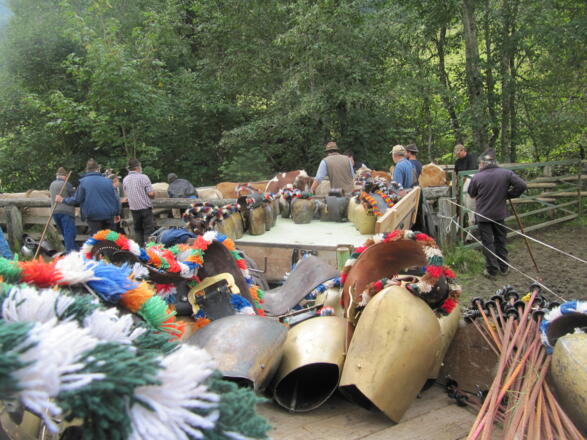 Alphirten der Alpe Schwattwald beim Anbringen der Schellen für den Viehscheid in Obermaiselstein