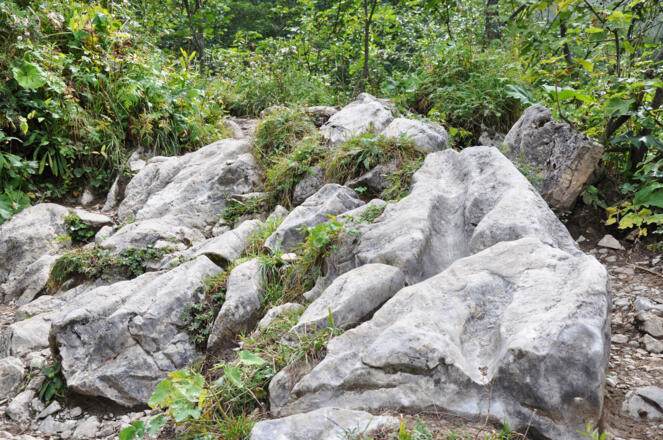 Karren in Oberrhätkalk