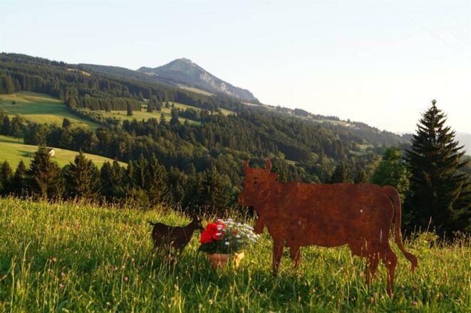 Blick auf den &quot;Grünten&quot;