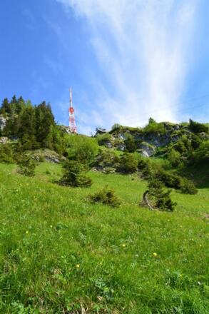 Auf dem Weg zum Grünten