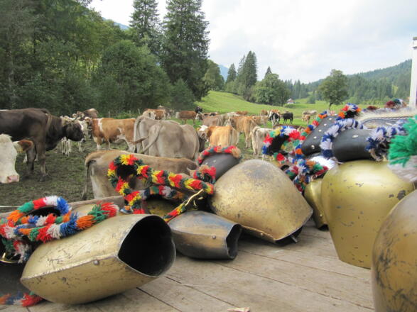 Zugschellen der Alpe Schattwald in Obermaiselstein