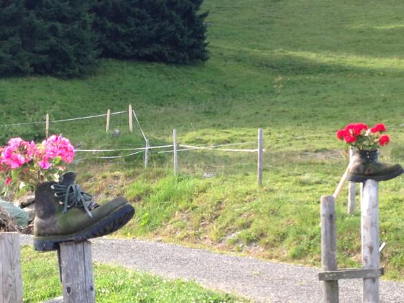 Sennalpe Schrattenwang