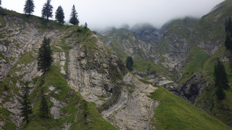 Verfaltete Allgäu-Formation an der Unteren Schneeflucht