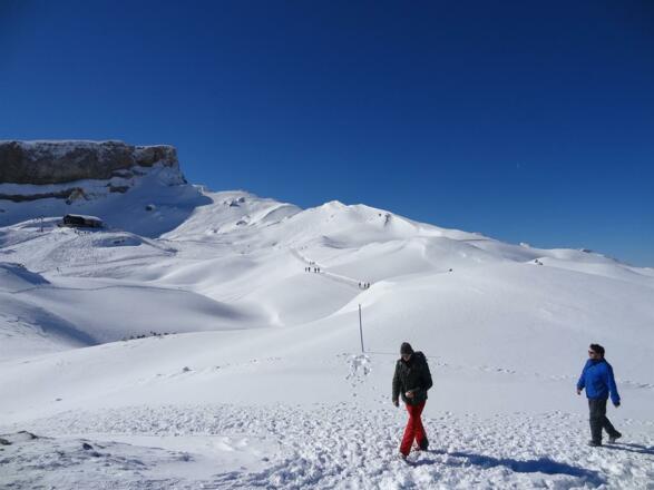 Ifen-Winter-Wanderung
