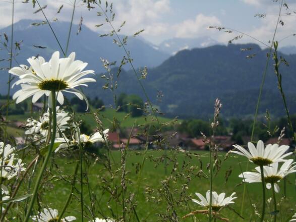 Schöne Aussicht nach Hinang