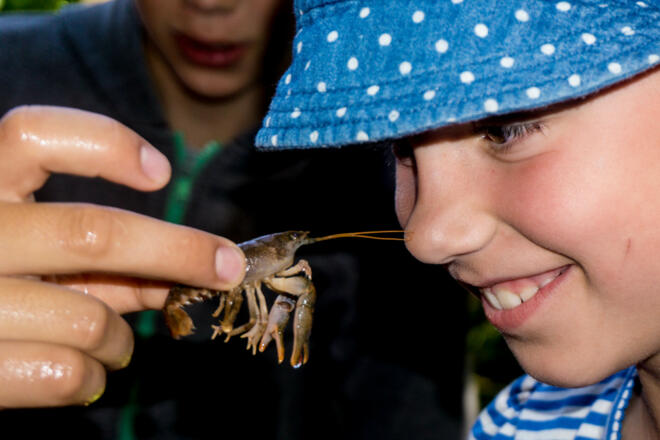 nez_zeltlager-2017-107-von-140