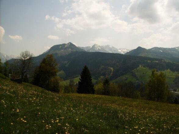 oberhalb Tiefenbachs