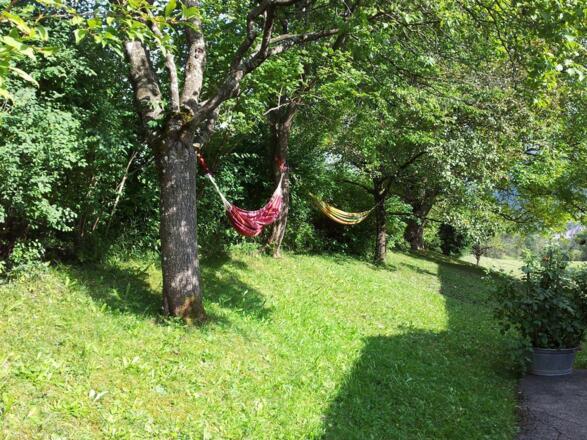 Hängematten zum Träumen