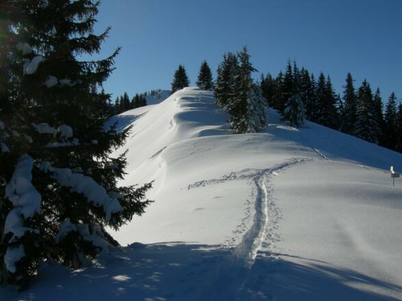 Unser Hausberg der Sonnenkopf