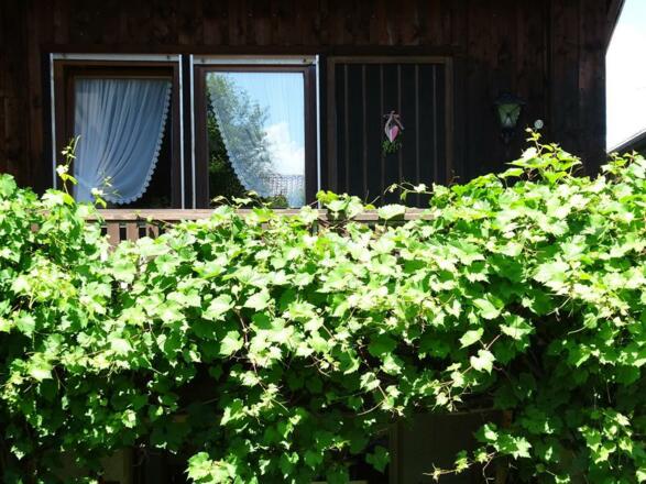 Balkon Ferienwohnung