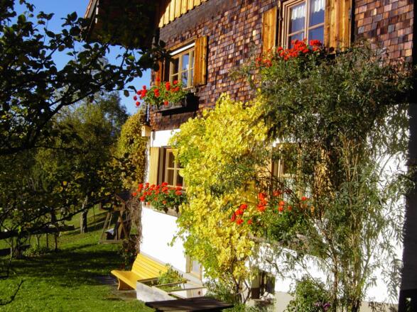 Ostseite mit Weinstock