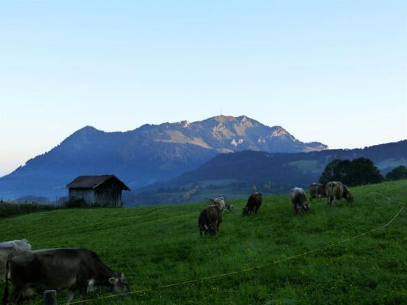 Blick auf den Grünten