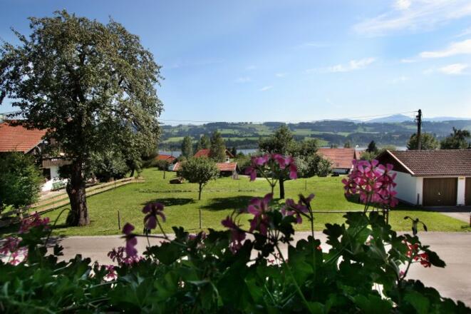 herzmaria_blickausdemfenster_8673