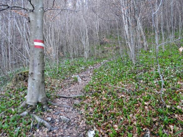 Der Einstieg zum Wanderweg
