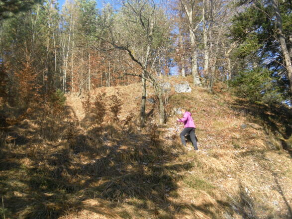 kurze Steilaufschwünge