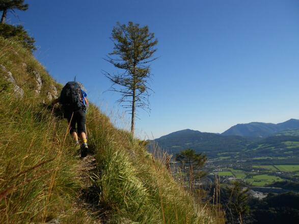 Ein schmaler, oft undeutlich erkennbarer Steig, der Kienbergsteig