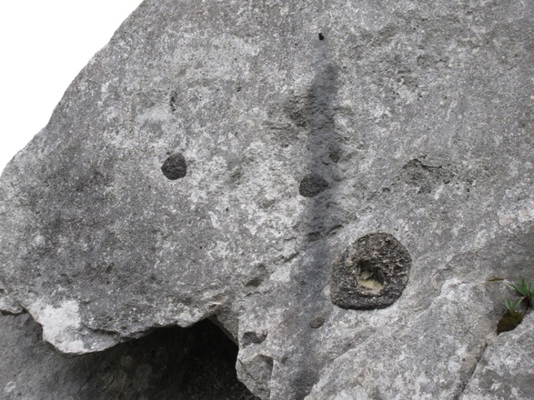 geologische Besonderheit: große, schwarze, raue Warzen auf dem Kalk