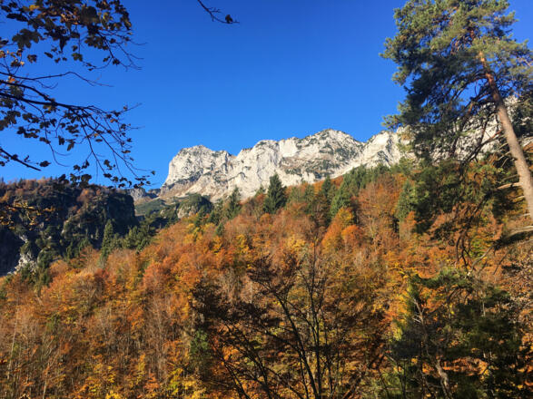 Wanderweg zur Toni Lenz Hütte 