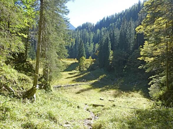 Sagereckalm (verfallen)