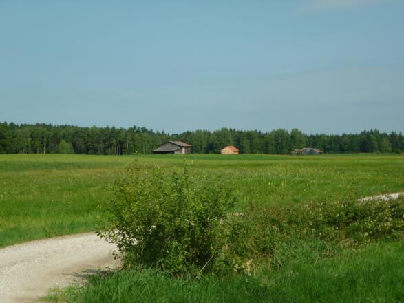 Feldweg durchs &quot;Saaldorfer Moos&quot;