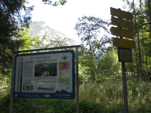 Infotafel Steineren Agnes am Wanderparklpatz Hallthurm
