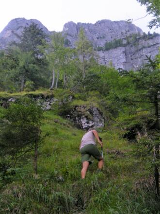 Am Laufsteig unter der Nordwamd 