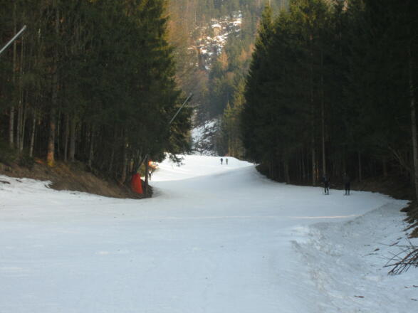 Die Talabfahrt Mittelstation - Königsee