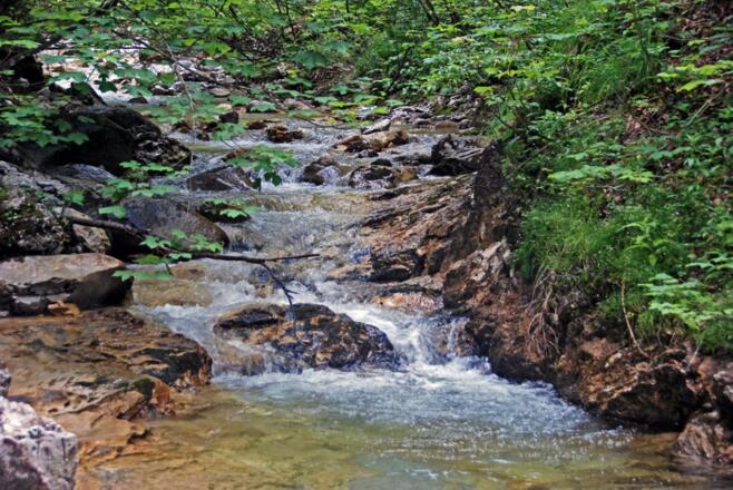In der Klamm der Schwarzache