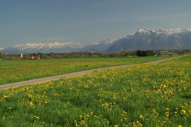Blick Richtung Surheim im Hintergrund ist der Untersberg