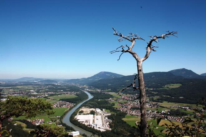 Aussicht vom Kleinen Barmstein Richtung Salzburg
