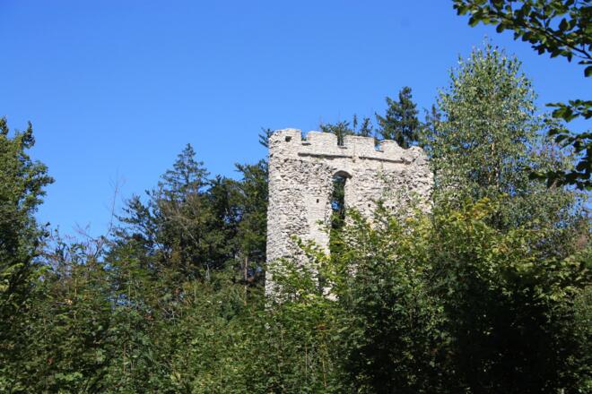 Ruine Thürndl