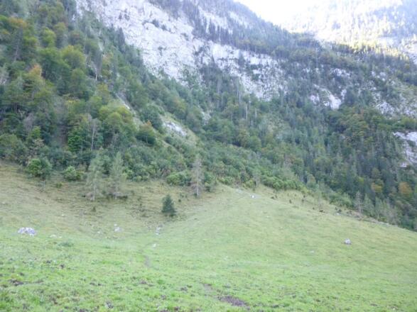 Sagerecksteig durch die Saletalm