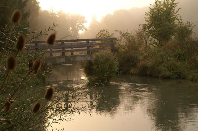 Herbststimmung am Mittergraben