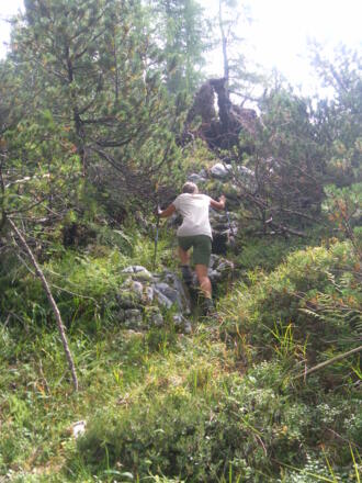 Westrücken zum Alphorn