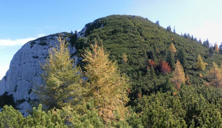 Latschengasse auf das Hirscheck