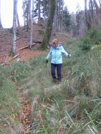 verwachsener Karrenweg