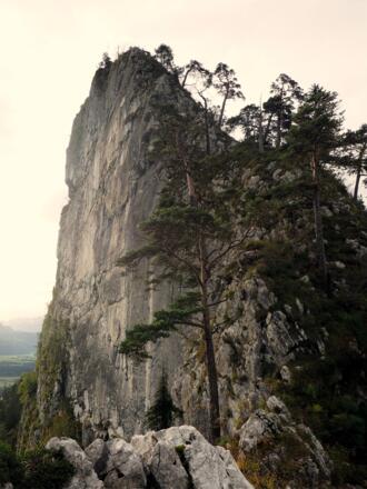 Kleiner Barmstein 741m