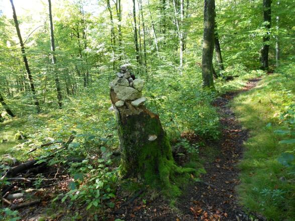 Erster Hinweis auf den richtigen Weg