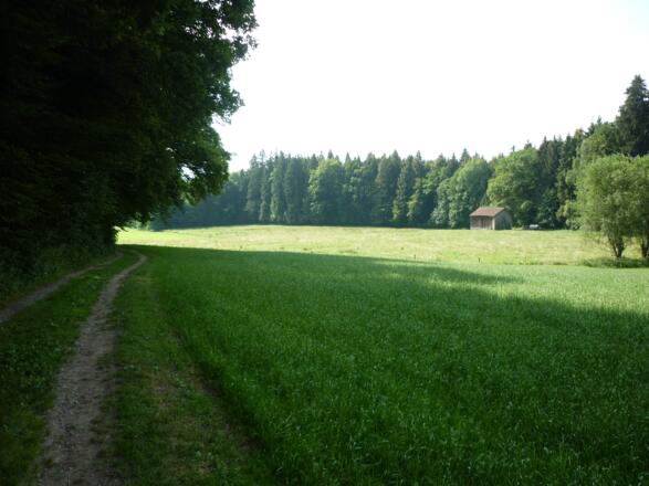 Rückweg ins Dorf über die &quot;Schwell&quot;