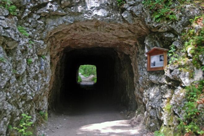 Ehemaliger Eisenbahntunnel am Waldbahnweg