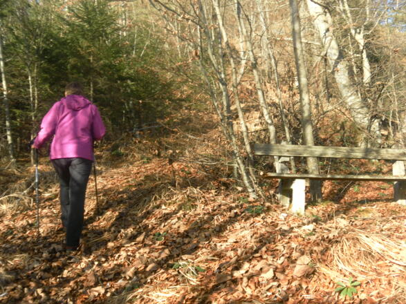 Sitzbank mit Tiefblick nach Marktschellenberg