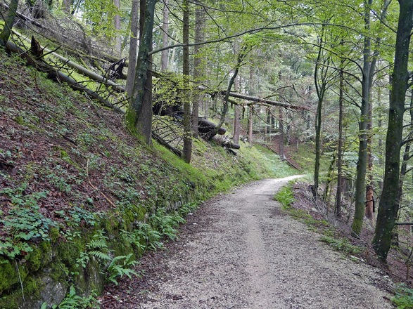 Auf dem alten Soleleitungsweg