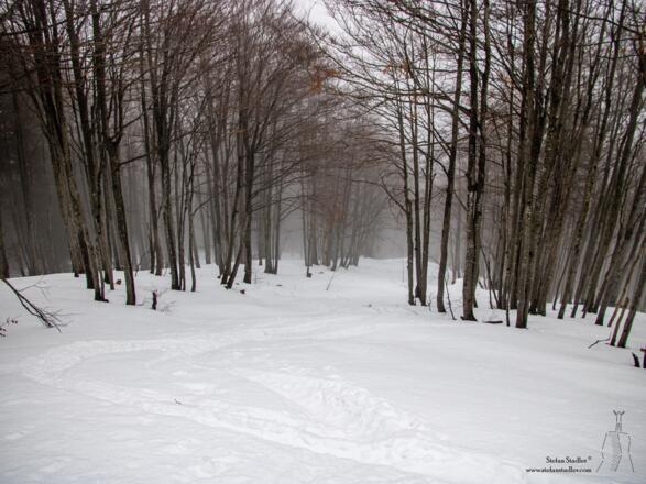 ... die zusehends enger wird.